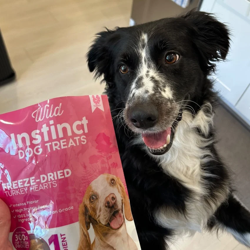 Buy Beef Liver for Dogs: What Should Pet Owners Look For?