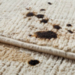 The Most Common Carpet Problems in Croydon Homes